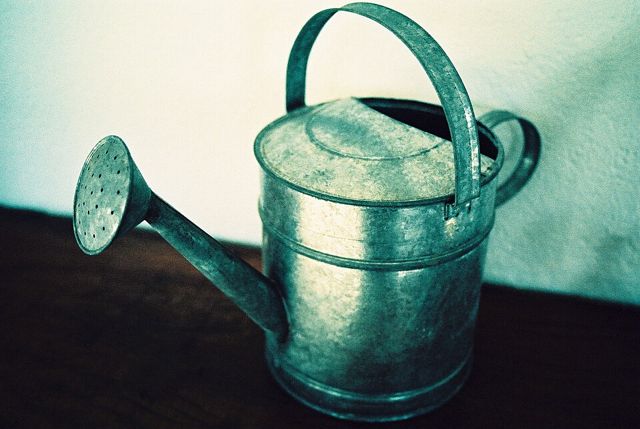 Bình tưới cây 5 lít