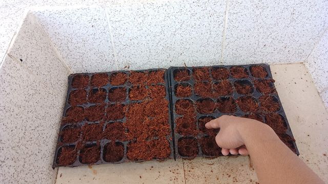 Mùn dừa xử lý (bao 10kg)