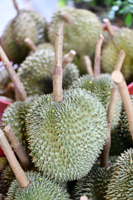Sầu riêng Ri6 (kg)