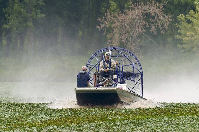 Thuốc diệt cỏ Glyphosate 480 (chai 1 lít)